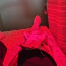 김성철신경외과의원 이미지