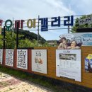 글로리아키즈가족단체 이미지