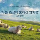 푸른초장 이미지