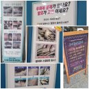태후사랑 영등제일4차점 이미지
