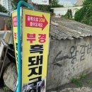 부경흑돼지구이 이미지
