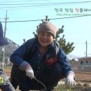 여왕벌민박 이미지