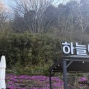하늘아래팬션 | 장성독채펜션 하늘아래에서 보낸 완벽한 가족 여행 힐링 후기 ✨