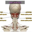 로움필라테스 - 광명시 광복로 70 | 로움필라테스