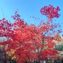 지동천 Daum카페