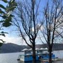 중도길 | 춘천 놀거리 춘천중도물레길 카누 체험 후기