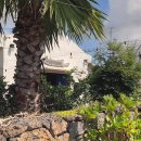 감귤게스트하우스 이미지