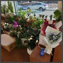 성성자이A후문 | 천안꽃집, 모어댄플라워 천안성성점, 성성동꽃집 여기라면 꽃 걱정 끝 😊