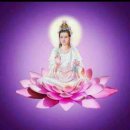 아지사랑 이미지