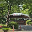 대림서서울기동점 | 아파트 임장 투어 경기도 구리시 수택동 대림한숲