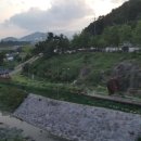 리도203호선 2 네이버블로그