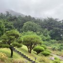 오연재 | 무주, 오연재