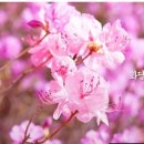 화담펜션 이미지