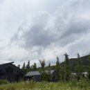 459 | 용인 대형카페 묵리459 내돈내산 후기 | 서울 근교 브런치 맛집 추천