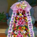 동광체육관 이미지