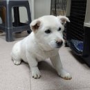 봉림동주민센터 이미지