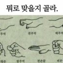 홍대개미대구신세계