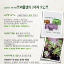 트리플Triple 이미지
