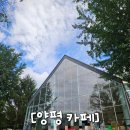 그림정원 | [양평 카페] 북한강 뷰가 아름다운 그림정원 솔직 후기🌿서울 근교 드라이브 코스 🚗