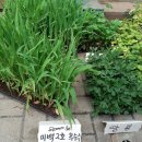 매포전통시장(매포재래시장) 이미지