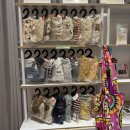 딩동댕 애견카페 이미지