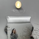 네일;피오리 이미지