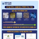파파스 클린케어