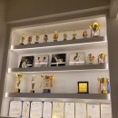 계명대 힘찬 태권도장 이미지