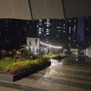 (주)코리아세븐 개봉점 | 세븐일레븐 롯데자이언츠 마!씨앗호떡빵 마빵 후기