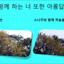 광창공인중개사사무소 이미지