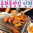 춤추는갈매기 이미지