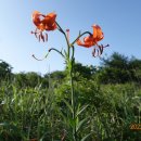 영영축산 이미지