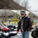 할리 이미지