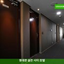 골든씨티호텔 | 서울 가성비 숙소 | 동대문 골든 시티 호텔 솔직후기