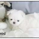 부담없는곳 이미지