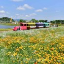 제44회 남도국악제 이미지