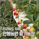 만봉농장 이미지