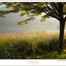 하리다 이미지