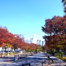월드컵공원 티스토리