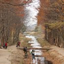 경주산림환경연구원 이미지
