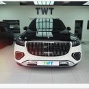 더웨이(TWT) 이미지