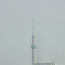 일본, 도쿄 2박3일 2일차 정리 - 디즈니랜드, 타케야 마트, 편의점
