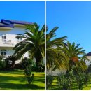 하모체육공원 이미지