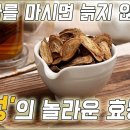 우엉의 효능,효과와 부작용,우엉차 끓이는법 이미지