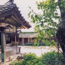 박*택 이미지
