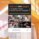 세모난나무 이미지