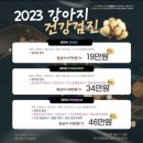 서울동물메디컬센터 이미지