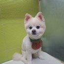 제일미용원