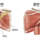 피티무브웰 이미지