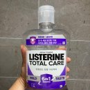 마일드 | 코스트코 리스테린 토탈케어 마일드 1.5L 후기
